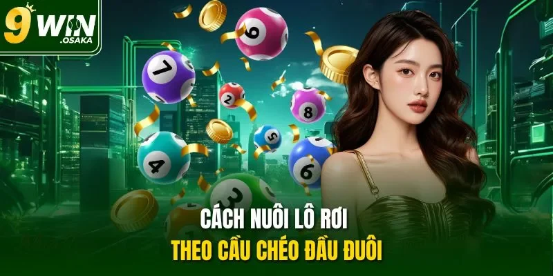 Cách nuôi lô rơi theo cầu chéo đầu đuôi