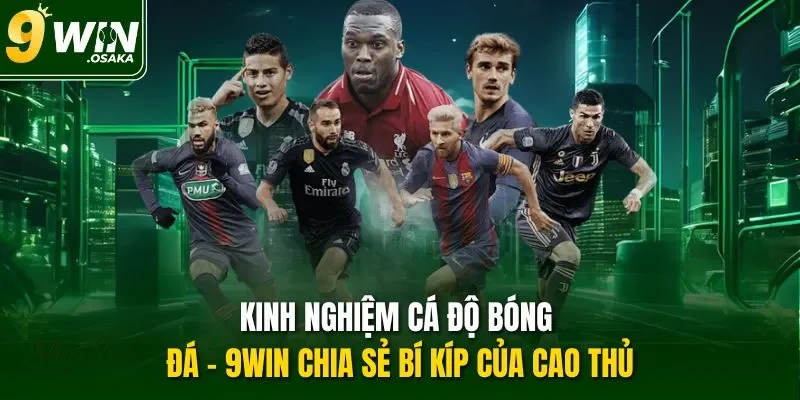 Kinh nghiệm cá độ bóng đá